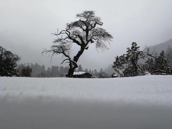 蜡笔小新兄妹春节大拜年